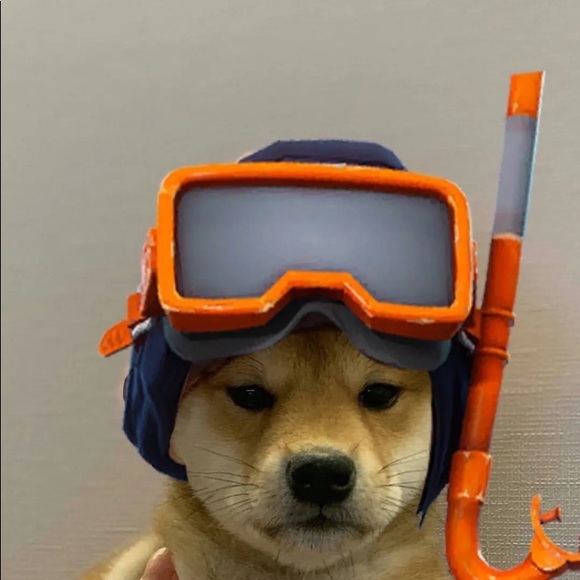 Meet your Posher, Renee - Picture 1 of 1